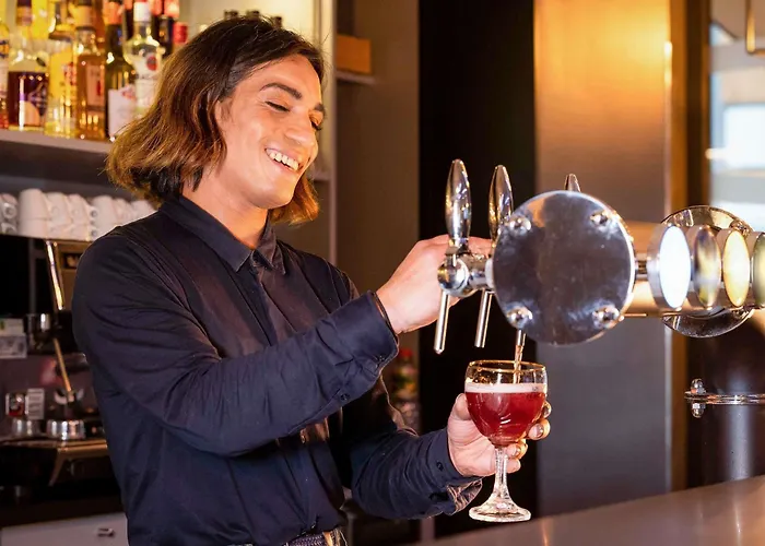 Ibis Centre Meriadeck Hotel